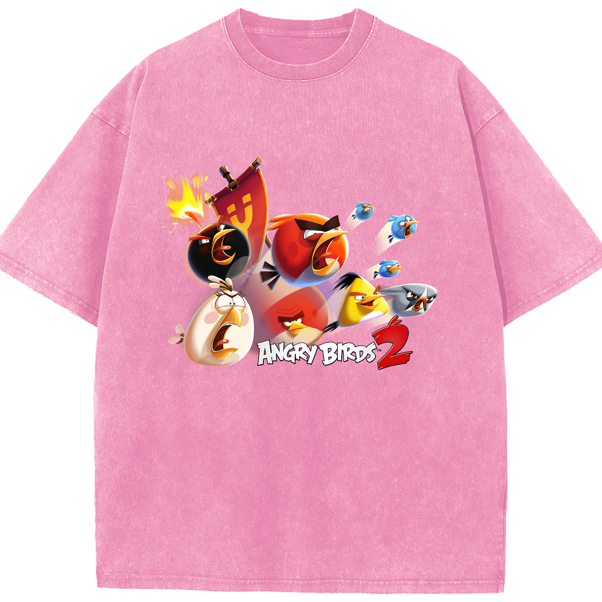 （画像用） Angry Birds アングリーバード 綿100% ヴィンテージ風 半袖Tシャツ（フロントプリント）